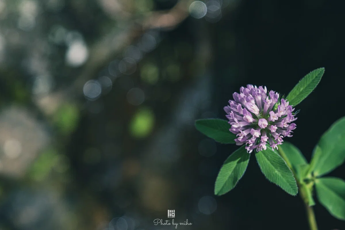 画像24