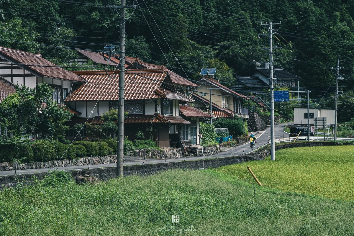 画像26