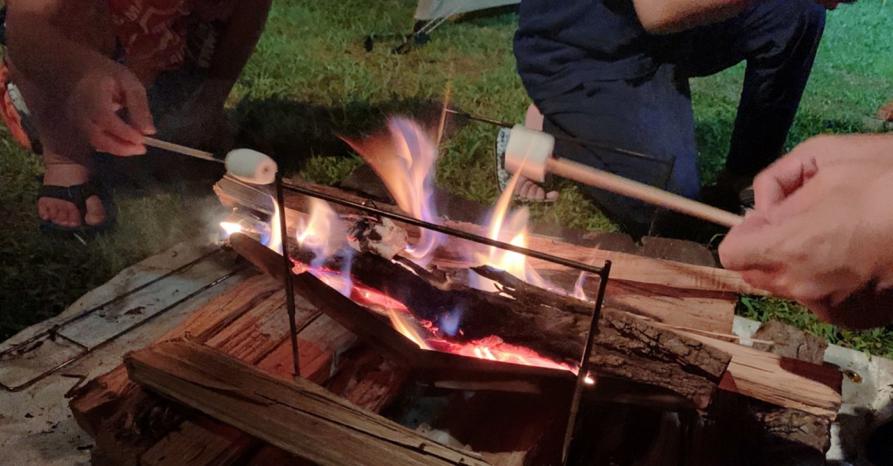 飛んで火に入る夏の虫 サトウさん Note