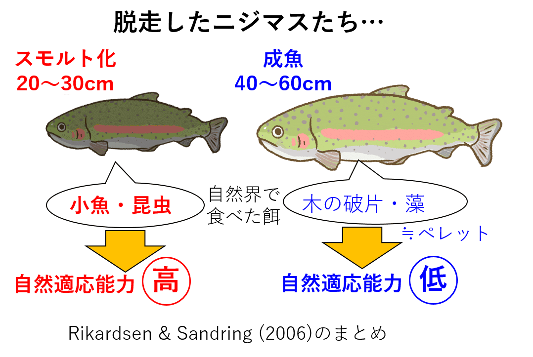 養殖場から逃げ出したデカいニジマスを釣りたい Nipon Hitode Note 養殖場から逃げ出したデカいニジマスを釣りたい Nipon Hitode Note
