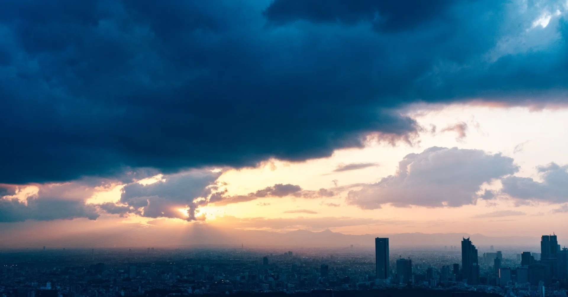 The Paradox: Why 'Excellent Founder-CEOs' Can Become Obstacles to Value ...