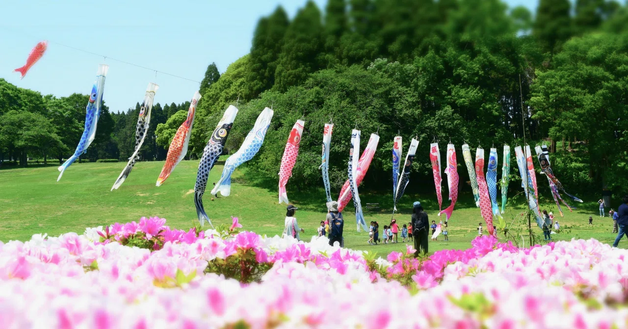 [Ruru's Notes] Is the Paddock Backstage Before the Performance?｜るるの競馬 ...