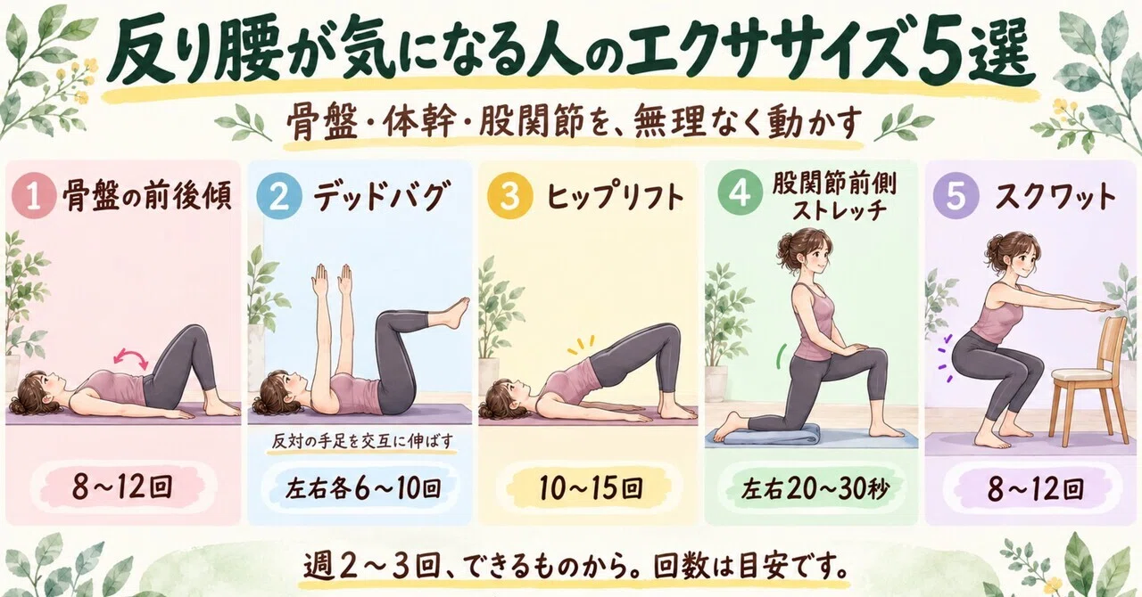 Is Swayback Caused by Weak Abs? Causes and 5 Recommended Exercises ...