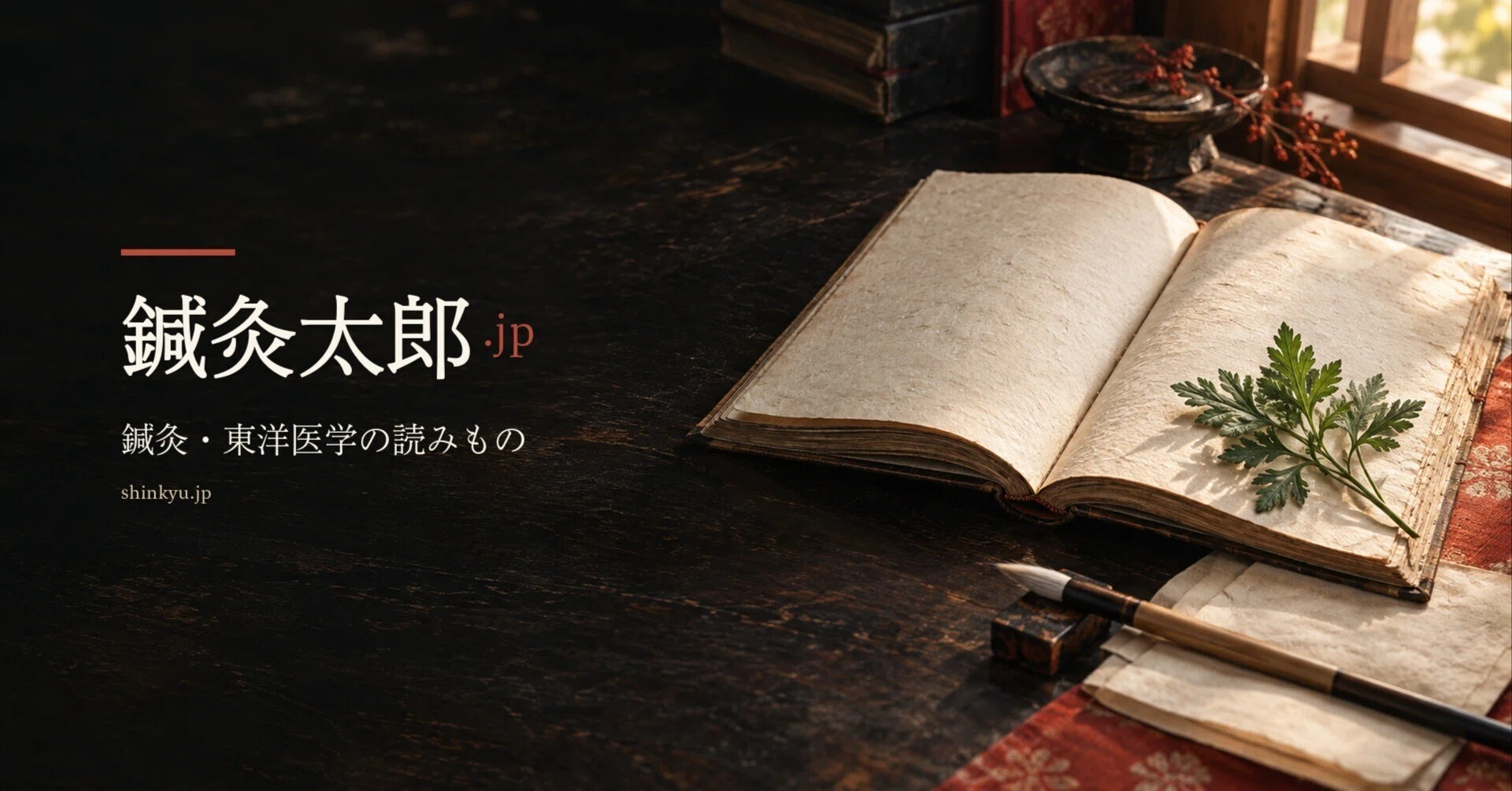鍼灸真髄―澤田流聞書』とは――師を見つめた代田文誌の記録｜鍼灸太郎.jp