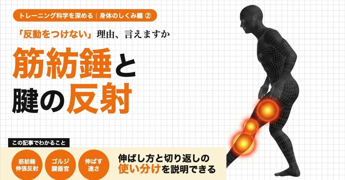Understanding Why We Stretch 