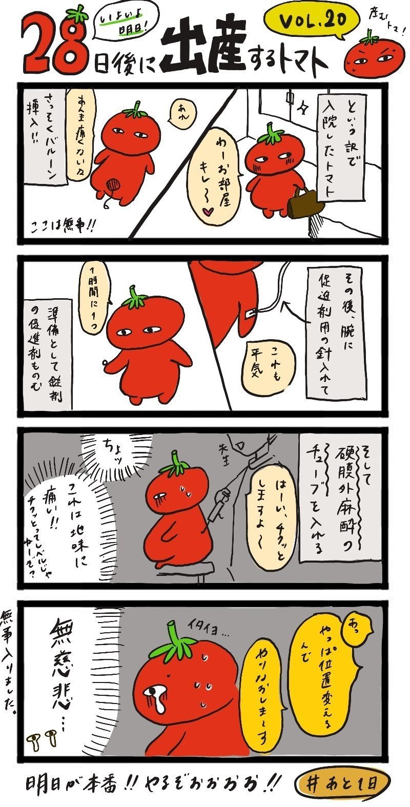 計画無痛分娩レポ お産はとっても楽しいイベントでした あか理 デザイナー Note