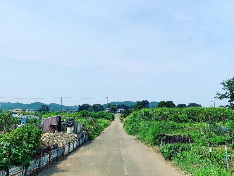 夏の田舎の写真 Mitsuko Note 夏の田舎の写真 Mitsuko Note