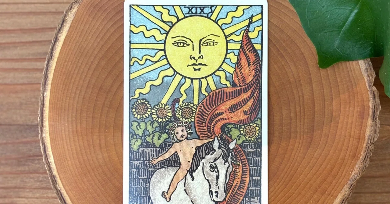19. The Sun... Being Yourself | One Tarot Card a Day Dictionary #20｜山根 ...