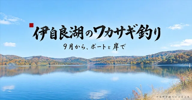 伊自良湖のワカサギ釣りは9月から｜遊漁料とボート代、予約と釣果