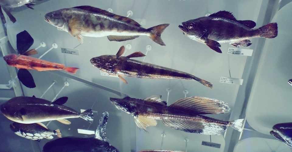 独自 人にタバコやめさせる方法 Shane N8 Note