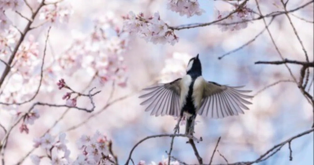 In the spring of 2020, Que was writing questions every day｜株式会社Que（キュー ...