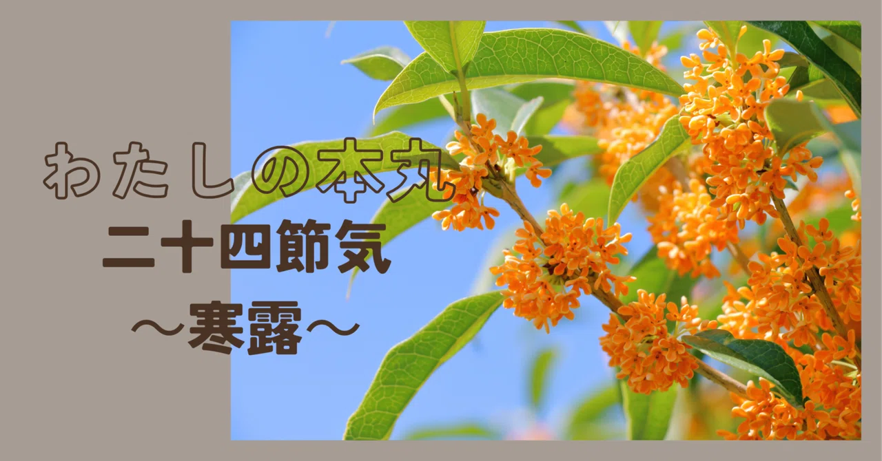 My Citadel - Twenty-Four Solar Terms: Cold Dew｜桜餅丨ゆるっと養生生活🌸