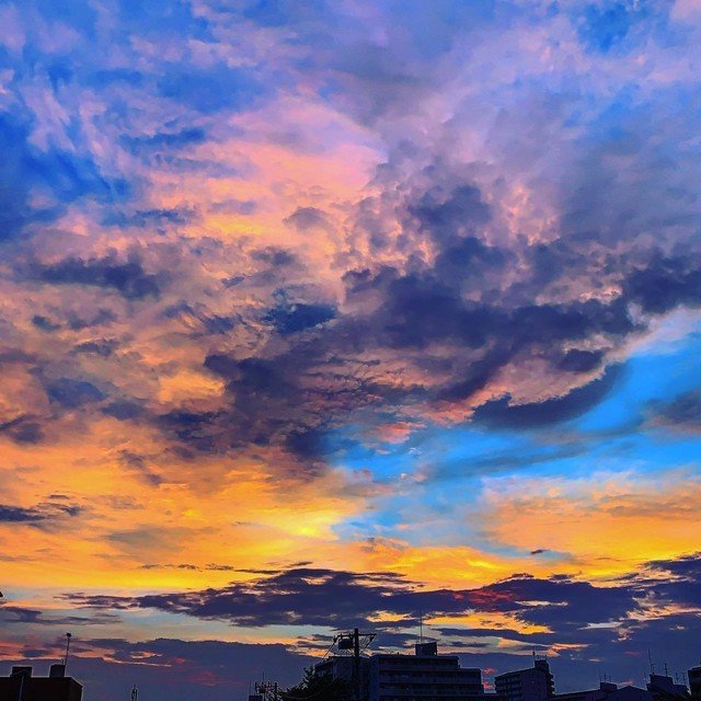 即身仏 火葬場は僕が死ぬには狭すぎる みんな死ねばいいのに セクハラ恋愛極私論 竹下力 Note