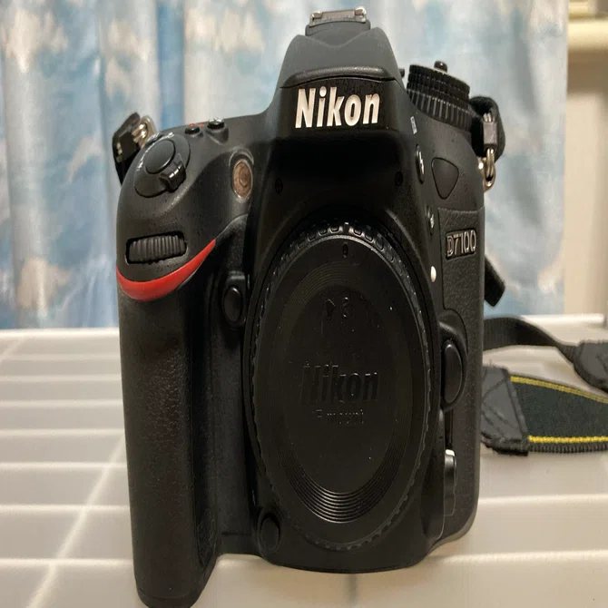 機材レビュー】Nikon D7100｜鷺