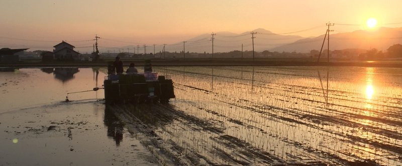 これが農家だ！〜およそ東京ドーム4個分！田植えのお手伝いしてきました〜