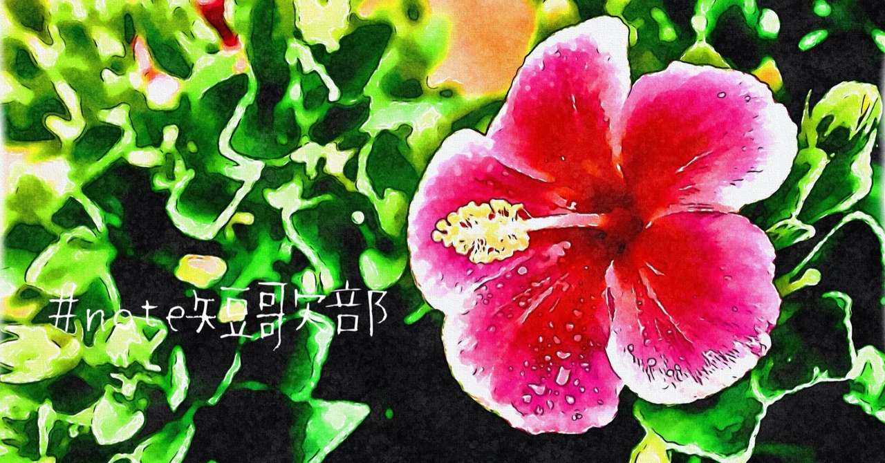 短歌 8月10日 誕生花はハイビスカス Note短歌部 御子柴 流歌 Note