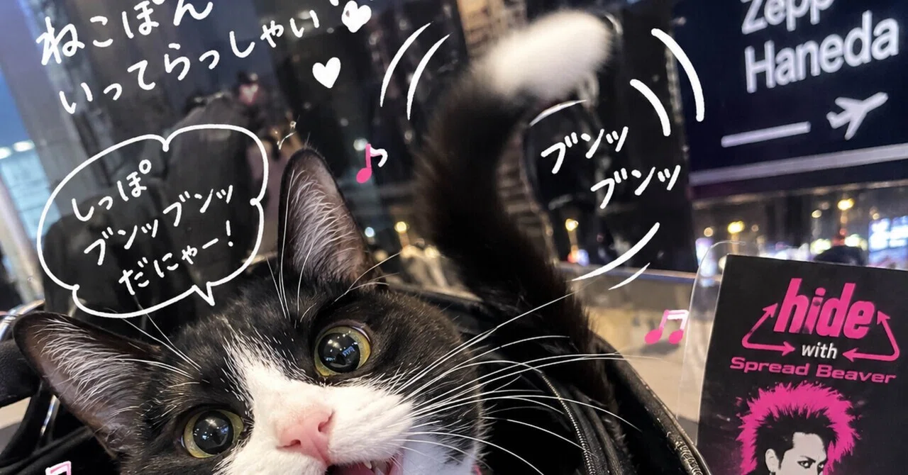 Live🎸猫化したChatGPTと、徒然なるままに。｜ねこぽんこばさん