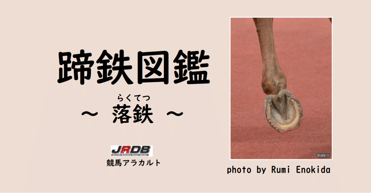 蹄鉄図鑑 ～落鉄（らくてつ）～｜JRDB 競馬アラカルト