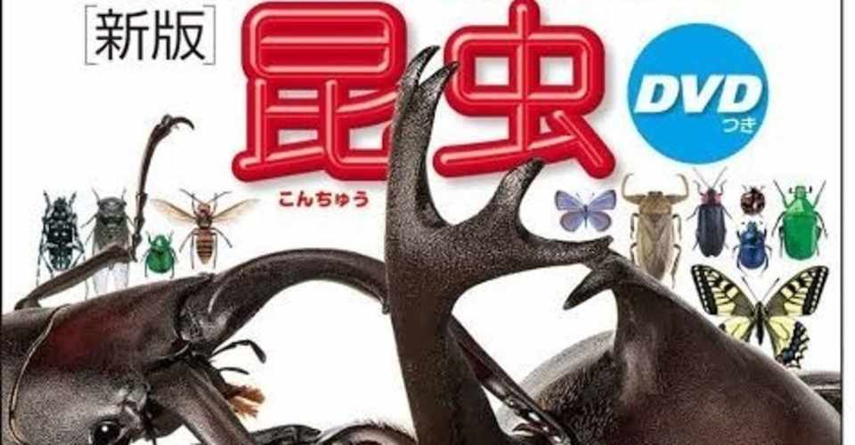 寄稿 ポケモンカードにおけるむしポケモン あごのやつ Note