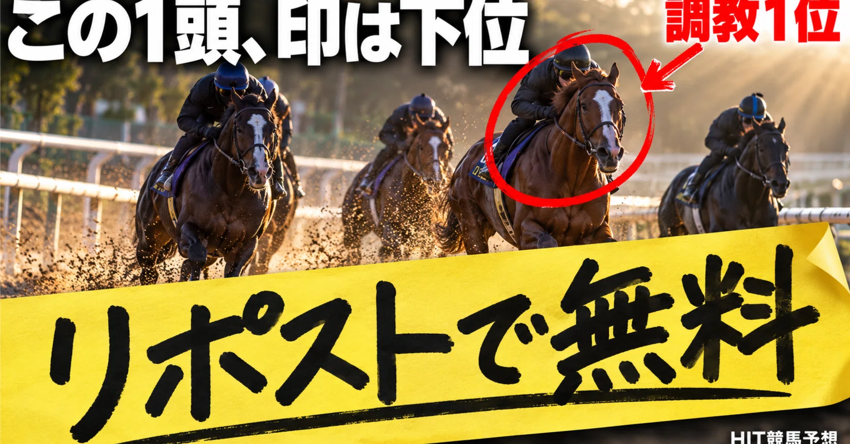 今日 の 競馬 予想