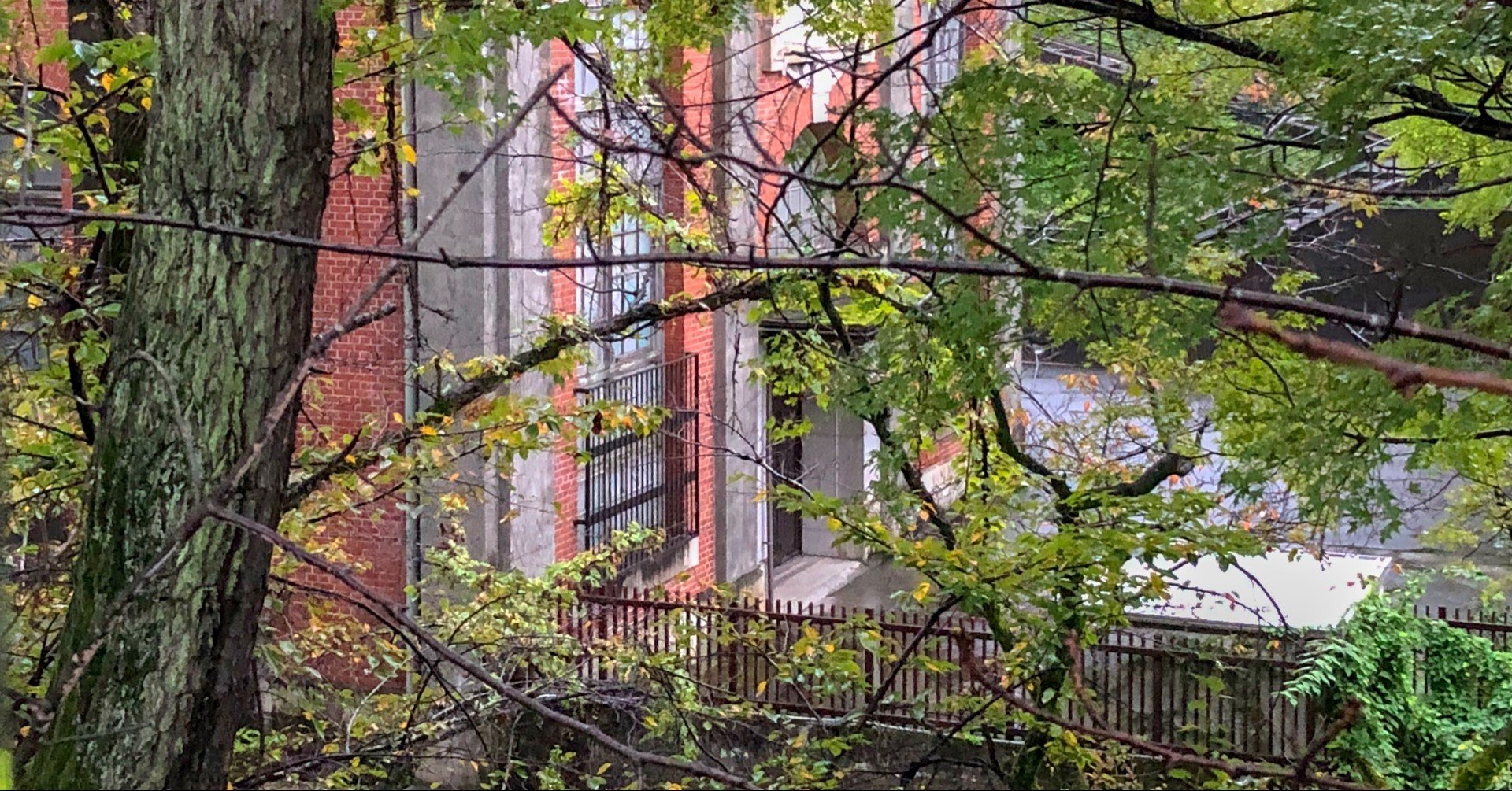 ジブリとモノマネ Bow Note