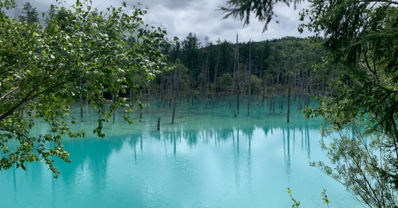 【気まぐれ写真集29】君は北海道の青い池を知っているか