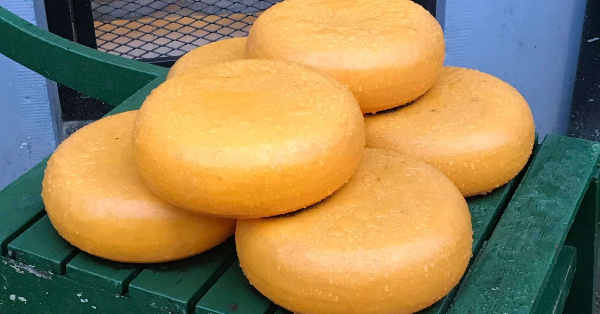 驚くほどチーズが美味しくなる、チーズ専用マスタード【オランダ