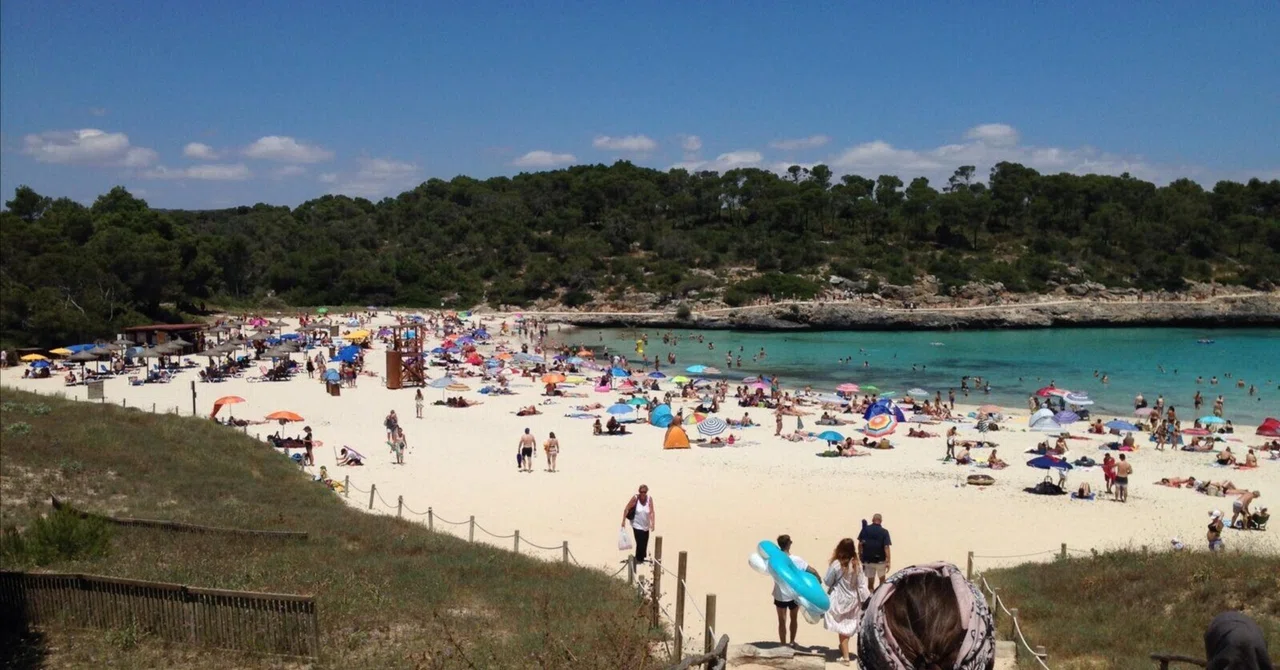 The White Dog on the Island of Mallorca｜吉川歩
