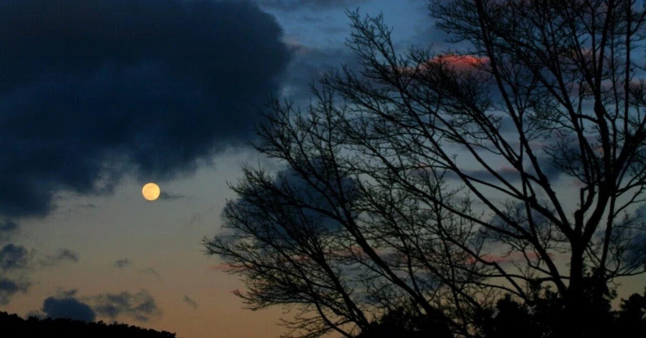 Sunset and Full Moon🌕｜まかぽん