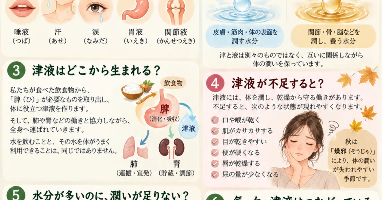 What is Jin-Ye? — A Story About the Precious Water That Moistens the ...