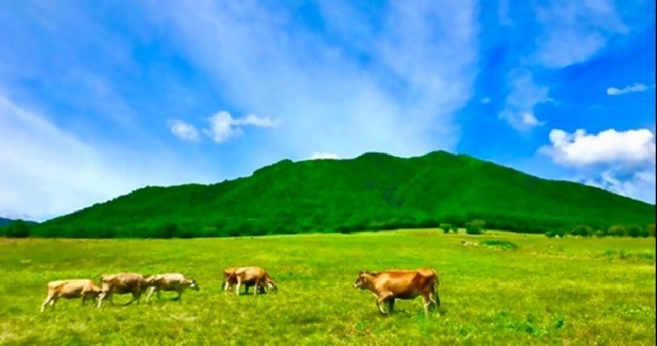 昭和50年代に観ていたnhk教育テレビ できるかな いちにのさんすう 明るいなかま のトレビアとは 森啓成 もりよしなり Yoshinari Mori Note 昭和50年代に観ていたnhk教育テレビ できるかな いちにのさんすう 明るいなかま のトレビアとは 森啓成 もりよしなり Yoshinari Mori Note