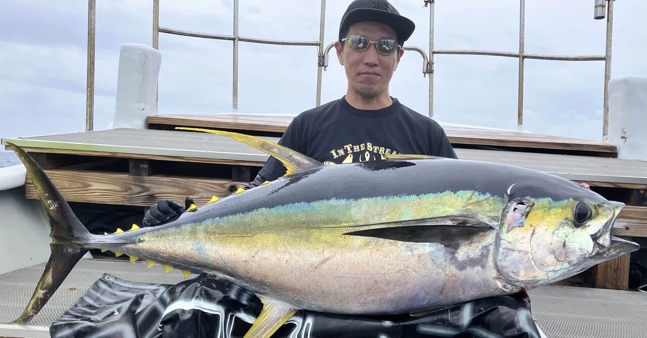 2026/7/1マグロキャスティング｜はるまる