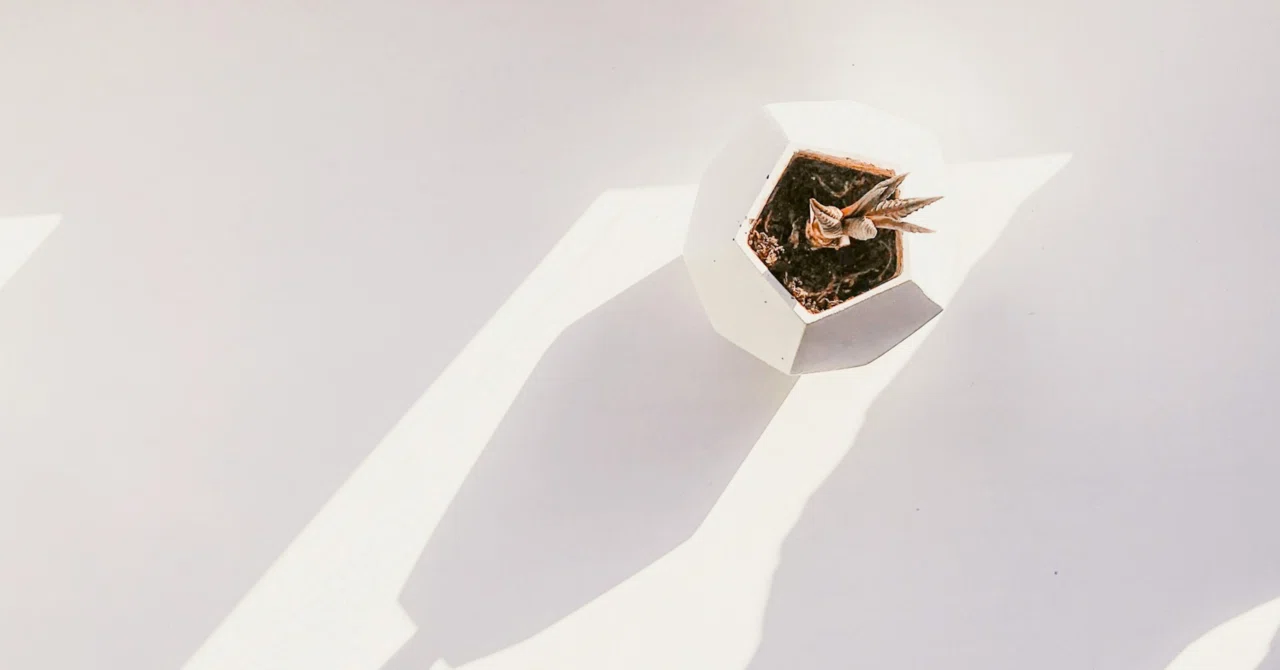 Towards the Century of Meaning｜Tom (与那城 務)