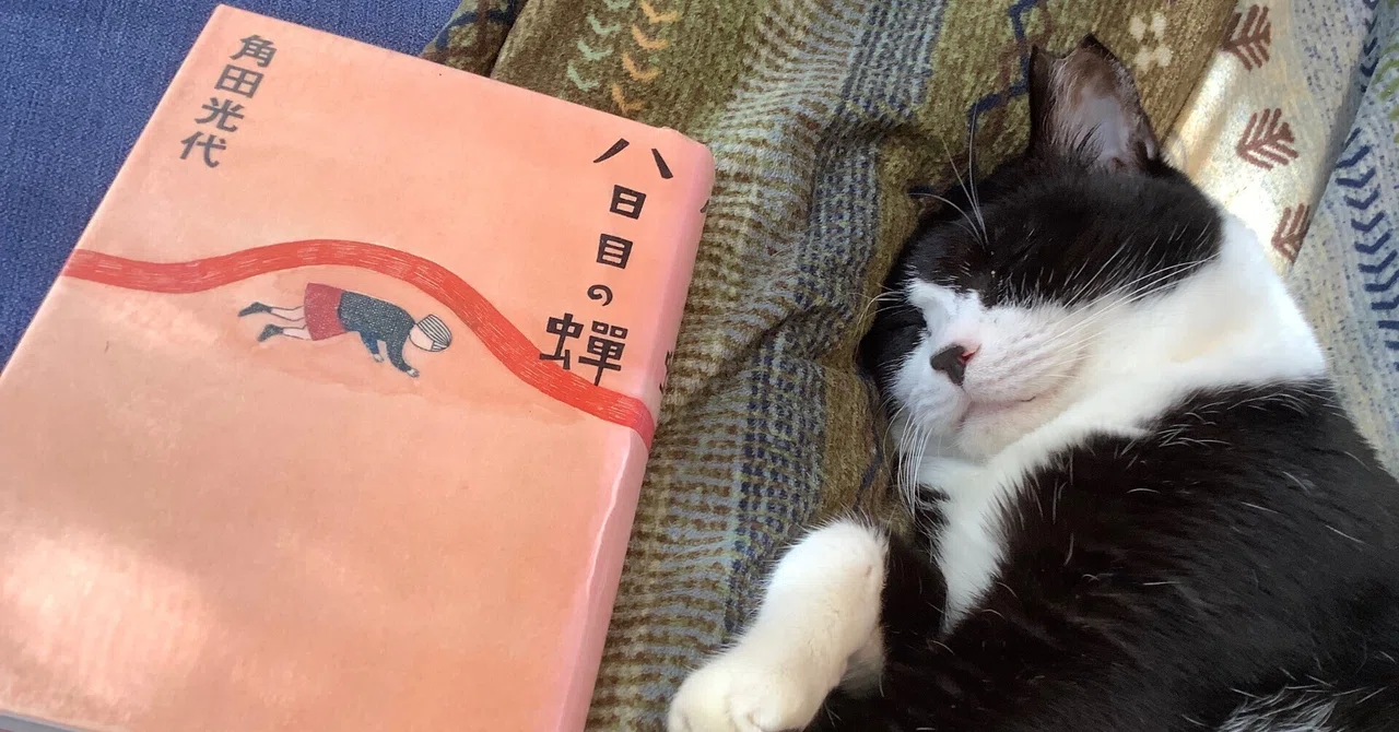 Reading Record: 'The Eighth Day' by Mitsuyo Kakuta｜ふう