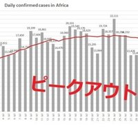 アフリカの主要企業ランキング アフリカ売上高トップ500企業リスト 梅本優香里 アフリカビジネスパートナーズ Note