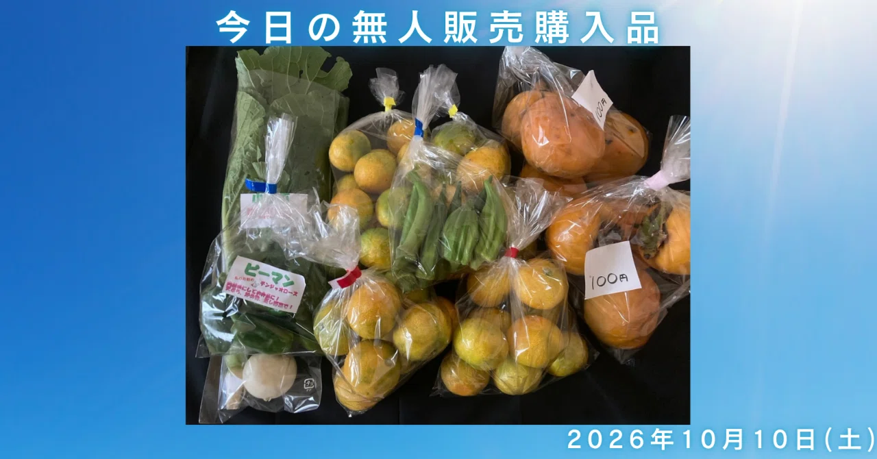 Today's Unmanned Stand Purchases 2026.10.10 | From Green to Yellow and ...