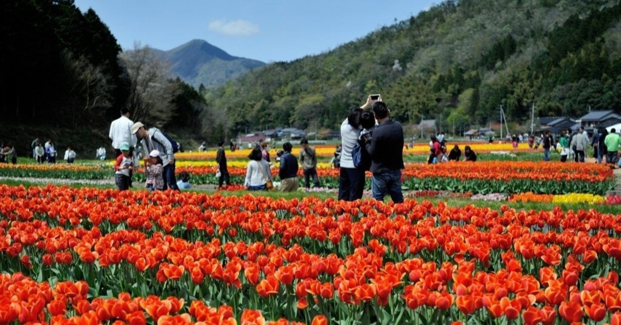 豊岡市 たんとうチューリップまつり Siouxcitizen Note