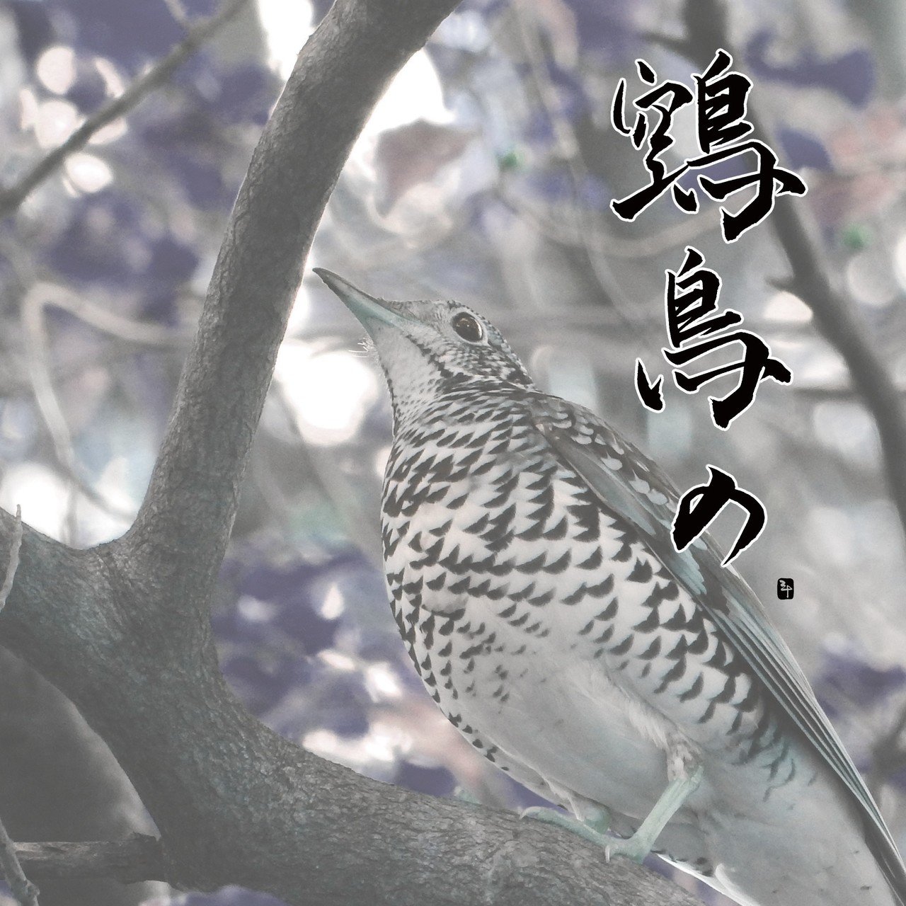 鵼鳥の ぬえどりの 三十 さとう Note 鵼鳥の ぬえどりの 三十 さとう Note