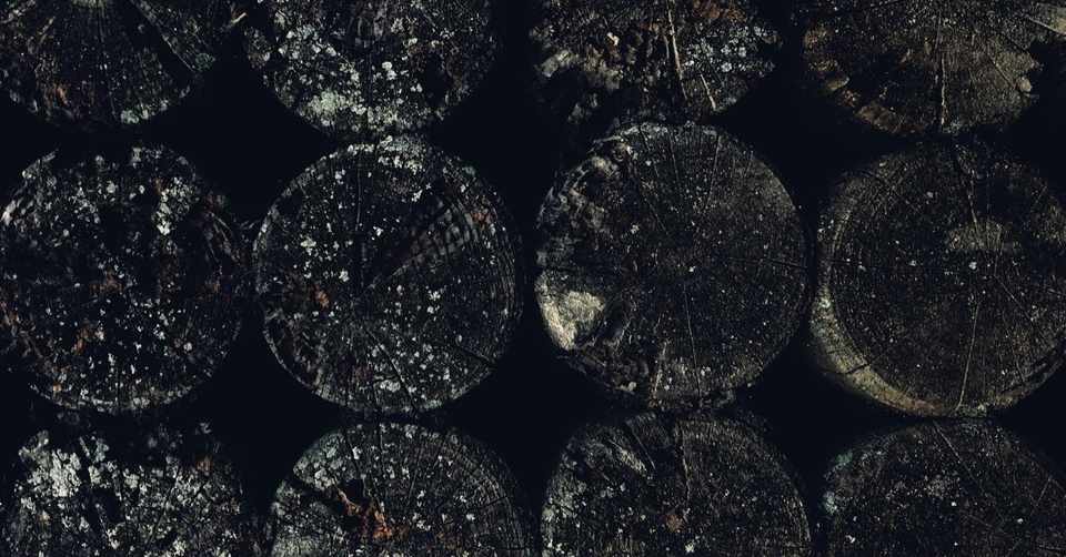 11 トランプを守り通す保守系メディアのホストたち 意外な英語エピソード 時事ときどきポップカルチャー Note