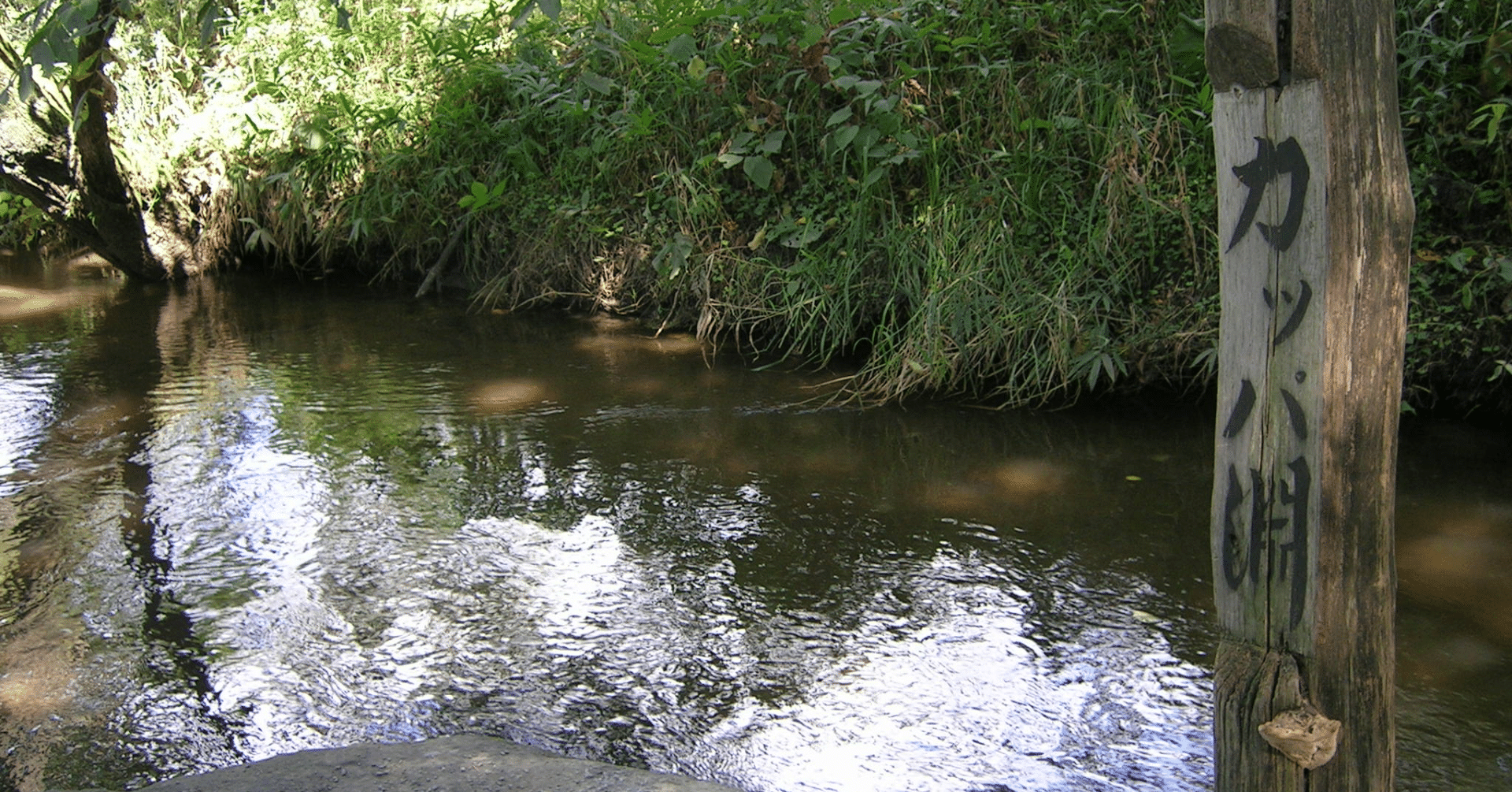 カッパ淵の主「ふるさと万歳」で紹介｜寡黙な年寄り｜note