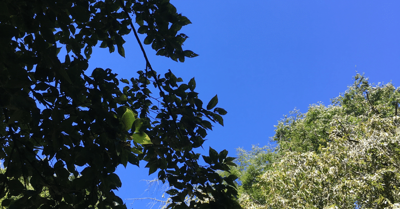 公園でのジレンマ 天運教会ブログmit ごまふらいふ Heaven S Fortune Church Note