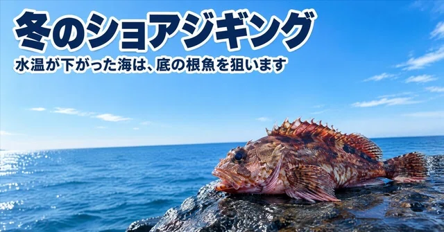 冬のショアジギングで釣れる魚は？水温を見て、青物か根魚かを決めましょう