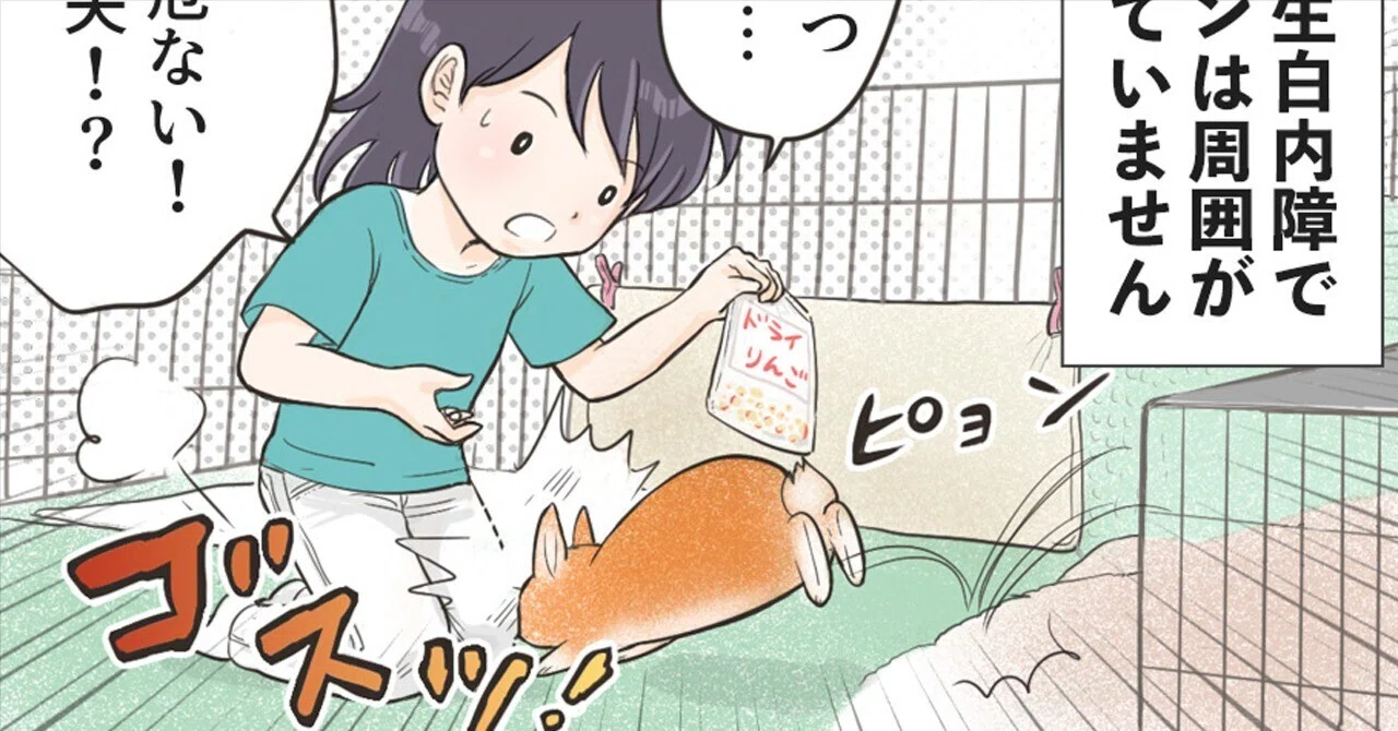 Comic Essay [Usa no Mani Mani] 115: An Elderly Rabbit's Resistance｜ちもなお ...