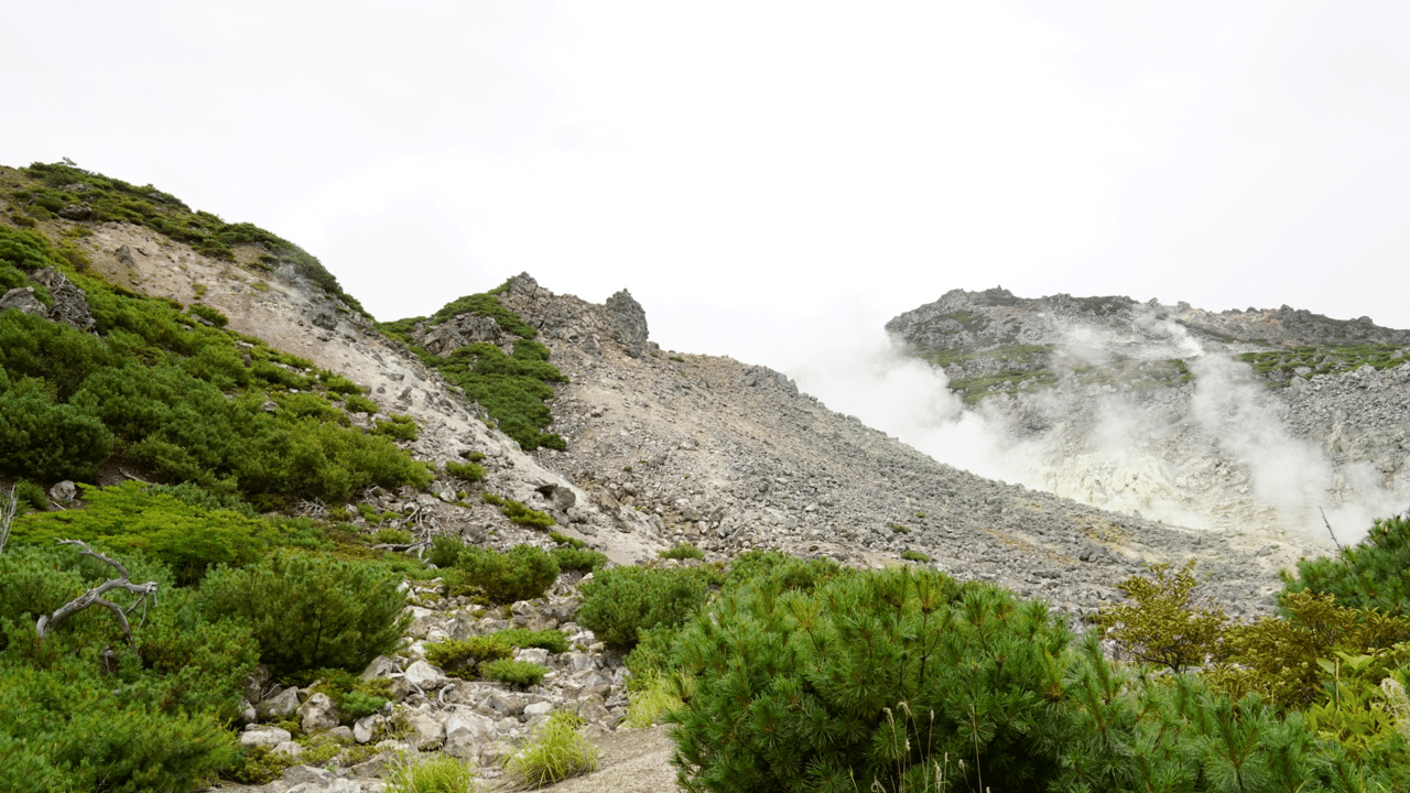 写真集 アトサヌプリ 硫黄山 の倒木アート 鶴雅リゾートデジタルコンシェルジュ Note 写真集 アトサヌプリ 硫黄山 の倒木アート 鶴雅リゾートデジタルコンシェルジュ Note