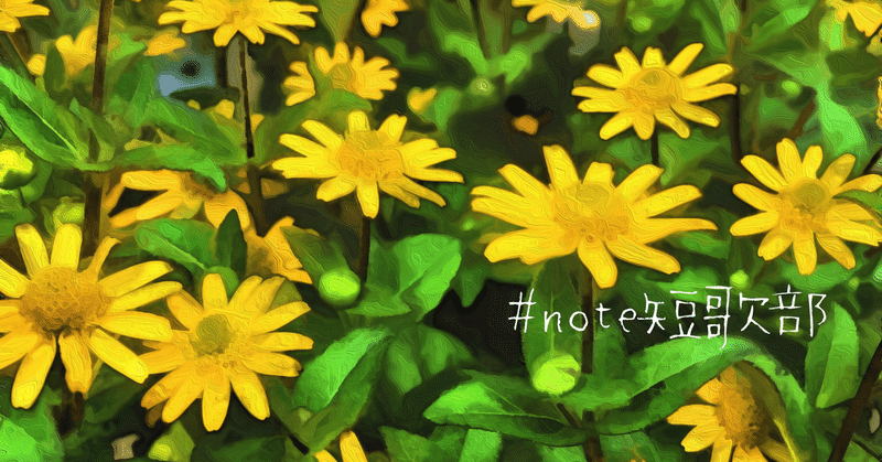 短歌 8月11日 誕生花はサンビタリア Note短歌部 御子柴 流歌 Note