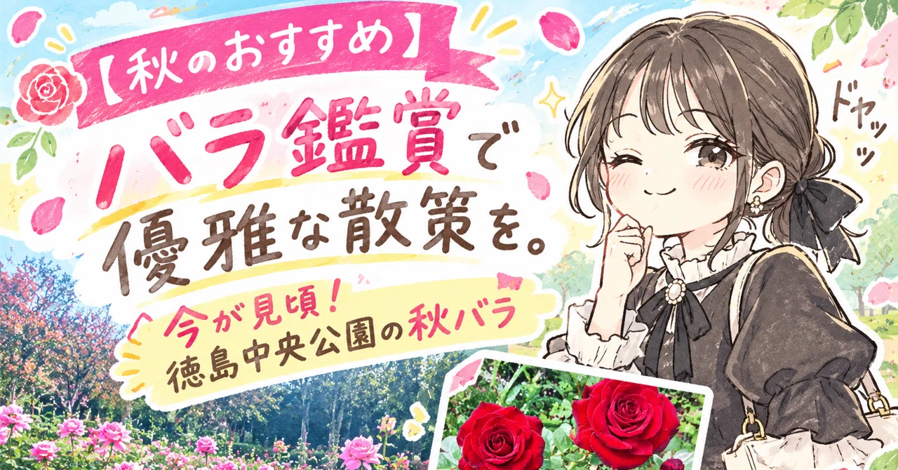 Episode 6 | [Autumn Recommendations] Enjoy an elegant stroll viewing ...