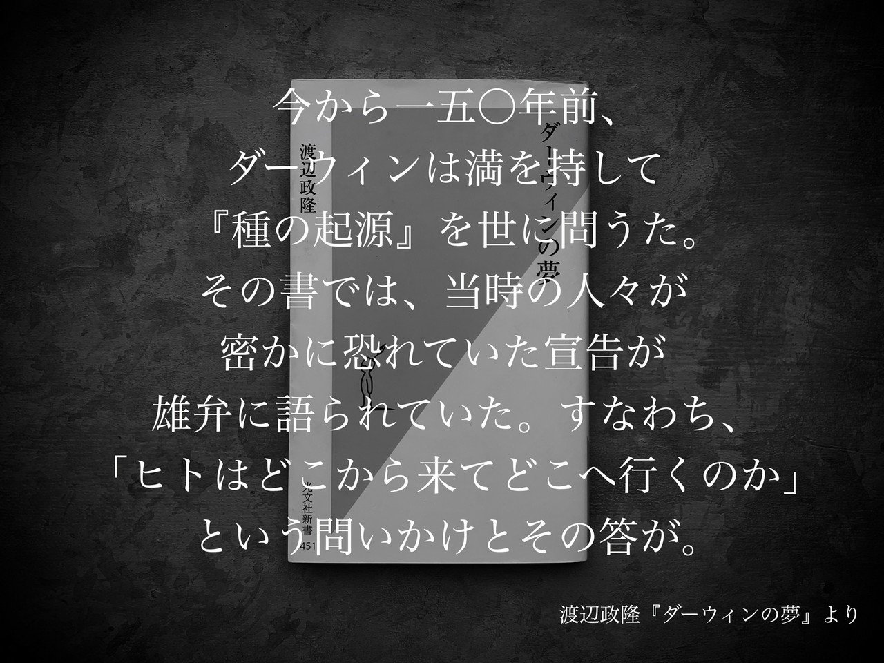 名言集 光文社新書の コトバのチカラ Vol 18 光文社新書 名言集 光文社新書の コトバのチカラ Vol 18 光文社新書