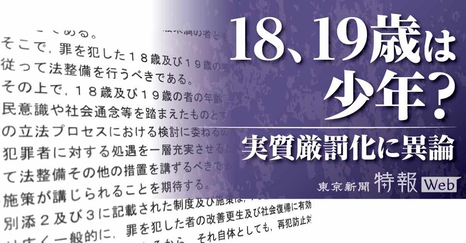 少年法の改正って必要 18 19歳の厳罰化に異論 再犯抑止には逆効果 東京新聞 特報web