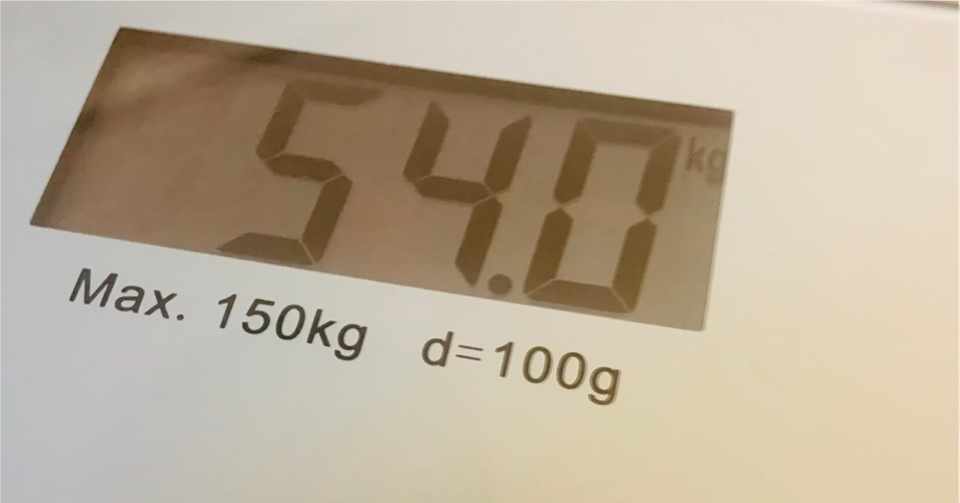 太ったことを受け入れられなかった28女が 10kgを目指して断食ダイエットをはじめた話 2 自己紹介とか S子ちゃん Note