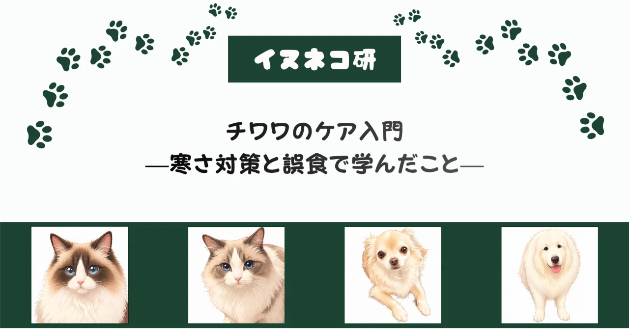 Introduction to Chihuahua Care—Lessons Learned from Cold Protection and ...